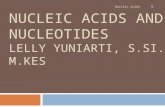 NUCLEIC ACIDS AND NUCLEOTIDES LELLY YUNIARTI, S.SI., M.KES Nucleic acids 1.