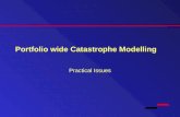 Portfolio wide Catastrophe Modelling Practical Issues.
