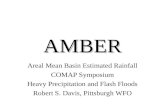 AMBER Areal Mean Basin Estimated Rainfall COMAP Symposium Heavy Precipitation and Flash Floods Robert S. Davis, Pittsburgh WFO.