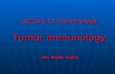 Lecture 11 Immunology Tumor immunology Dr: Dalia Galal.