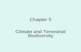 Chapter 5 Climate and Terrestrial Biodiversity. CLIMATE: A BRIEF INTRODUCTION Weather Climate - Latitude and elevation help determine climate. Warm front.