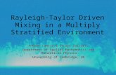 Rayleigh-Taylor Driven Mixing in a Multiply Stratified Environment Andrew Lawrie & Stuart Dalziel, Department of Applied Mathematics and Theoretical Physics.