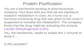 Protein Purification You are a biochemist working at pharmaceutical company. Your boss tells you that we are starting to research metabolism in cows. As.