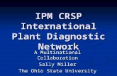IPM CRSP International Plant Diagnostic Network A Multinational Collaboration Sally Miller The Ohio State University.