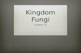 Kingdom Fungi Chapter 22.