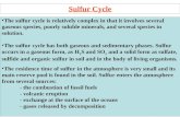 Sulfur Cycle The sulfur cycle is relatively complex in that it involves several gaseous species, poorly soluble minerals, and several species in solution.