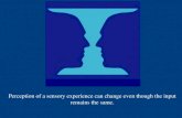 Perception of a sensory experience can change even though the input remains the same.