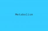 Metabolism. Metabolism refers to the cell's capacity to acquire energy and use it to build, store, break apart, and eliminate substances in controlled.