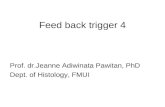Feed back trigger 4 Prof. dr.Jeanne Adiwinata Pawitan, PhD Dept. of Histology, FMUI.