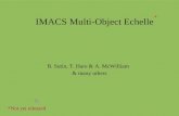 IMACS Multi-Object Echelle B. Sutin, T. Hare & A. McWilliam & many others N *Not yet released *