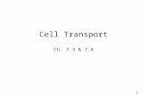 Cell Transport Ch. 7.3 & 7.4.