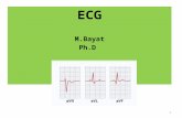 ECG M.Bayat Ph.D.
