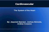 Cardiovascular The System of the Heart By: Jaspreet Basraon, Joshua Akinsola, Andres Corpeno.