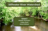 Stillwater River Watershed Group 5 Deepthi Thumuluri Caitlyn Baird Sonia Pattisam.