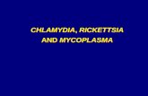 CHLAMYDIA, RICKETTSIA AND MYCOPLASMA.