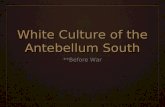 White Culture of the Antebellum South **Before War.