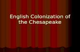 English Colonization of the Chesapeake. How did the English encourage settlement? Joint Stock Companies Joint Stock Companies Investors, not crown controlled.