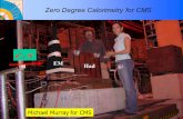 1 Zero Degree Calorimetry for CMS Had EM e +,  - Michael Murray for CMS.