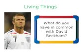 What do you have in common with David Beckham?