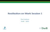 Restitution on Work Session 1 Paul Jackson DwB – WP3.