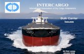 INTERCARGO International Association of Dry Cargo Shipowners Bulk Carrier Issues Mr Rob Lomas January 2008.