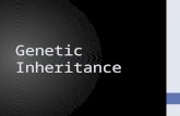 Genetic Inheritance. Objective Describe sexual and asexual mechanisms for passing genetic materials from generation to generation.