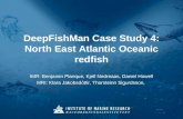 DeepFishMan Case Study 4: North East Atlantic Oceanic redfish IMR: Benjamin Planque, Kjell Nedreaas, Daniel Howell MRI: Klara Jakobsdóttir, Thorsteinn.