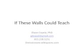 If These Walls Could Teach Diane Cepela, PhD 815.258.5251 Onevoiceone.wikispaces.com.