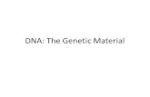 DNA: The Genetic Material. The Structure of DNA The Replication of DNA.