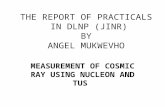 THE REPORT OF PRACTICALS IN DLNP (JINR) BY ANGEL MUKWEVHO MEASUREMENT OF COSMIC RAY USING NUCLEON AND TUS.