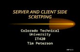 ASP-2-1 SERVER AND CLIENT SIDE SCRITPING Colorado Technical University IT420 Tim Peterson.