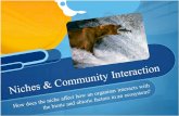 Niches & Community Interaction