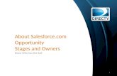 About Salesforce.com Opportunity Stages and Owners Know Who has the Ball 1.