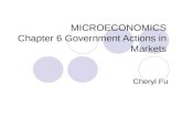 MICROECONOMICS Chapter 6 Government Actions in Markets