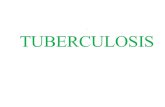 . TUBERCULOSIS. Caused by bacteria belonging to the Mycobacterium tuberculosis complex The disease usually affects the lungs, although in up to one-third.