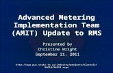 Advanced Metering Implementation Team (AMIT) Update to RMS Presented by Christine Wright September 21, 2011