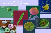 CHAPTER 28 THE ORIGINS OF EUKAYOTIC DIVERSITY