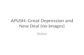 APUSH: Great Depression and New Deal (no images)