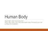 Human Body ANATOMY AND PHYSIOLOGY HS20-HB1 ANALYZE THE ANATOMY AND PHYSIOLOGY OF A HEALTHY HUMAN.