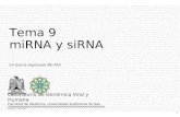 Tema 9 miRNA y siRNA CA García Sepúlveda MD PhD