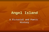 Angel Island A Pictorial and Poetic History. Gold Rush In the 1850’s, thousands of Chinese came to America in search of gold. Many American gold miners.