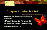 Chapter 1: What is Life? • Hierarchy, levels of biological structure