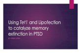 Using Tet1 and Lipofection to catalyze memory extinction in PTSD BY ATREYI MITRA.