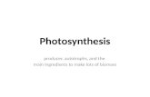 Photosynthesis producer, autotrophs, and the main Ingredients to make lots of biomass.
