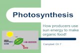 Photosynthesis How producers use sun energy to make organic food! Campbell Ch 7.