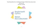 Teaching Block for Individual Project Welsh Baccalaureate Advanced