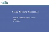 MISUG Meeting Materials Jackie Ashbaugh/Jamie Lavas ERCOT 1/13/2011.