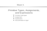 1 Week 5 l Primitive Data types l Assignment l Expressions l Documentation & Style Primitive Types, Assignments, and Expressions.