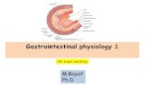 Gastrointestinal physiology 1 M.Bayat Ph.D GI tract motility.