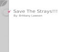 Save The Strays!!! By: Brittany Lawson. Why I chose Save the Strays There are 45 cats and dogs for every person born. Only 1 out of 10 dogs born ever.